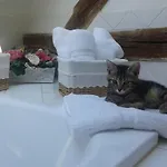 Le Moulin Des Roses Bed & Breakfast 3*