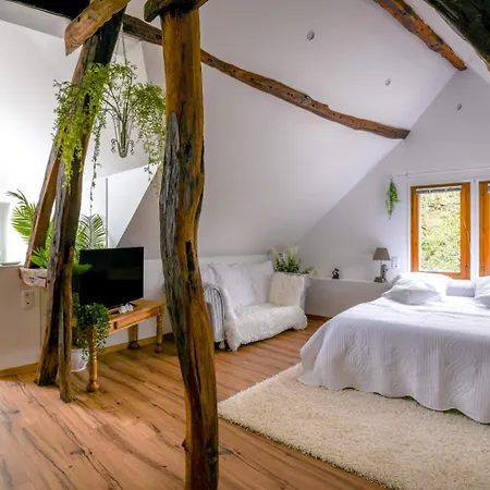 Le Moulin Des Roses 3* Neslette