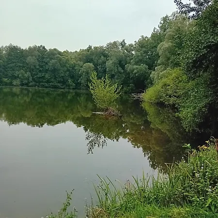 Le Moulin Des Roses Neslette