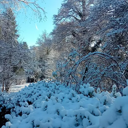 Le Moulin Des Roses Neslette