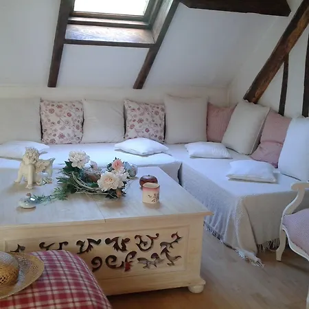 Le Moulin Des Roses Bed & Breakfast