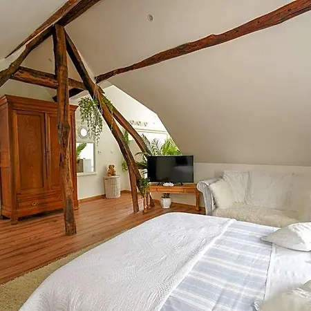 Bed and Breakfast Le Moulin Des Roses 3*