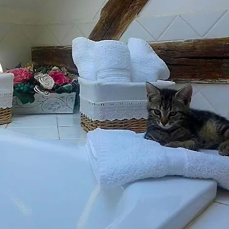 Bed and Breakfast Le Moulin Des Roses