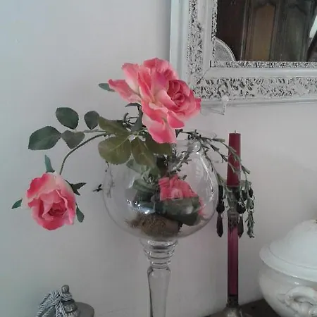 Le Moulin Des Roses 3* Neslette