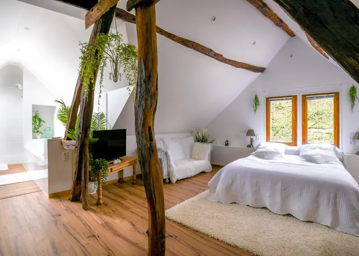 Le Moulin Des Roses 3* Neslette