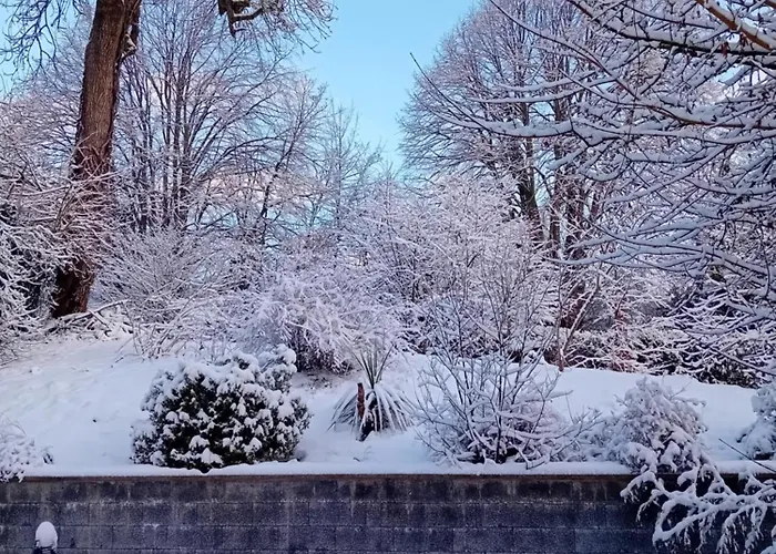 Le Moulin Des Roses Couette-café