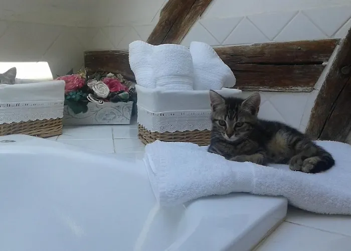 Le Moulin Des Roses Couette-café 3*