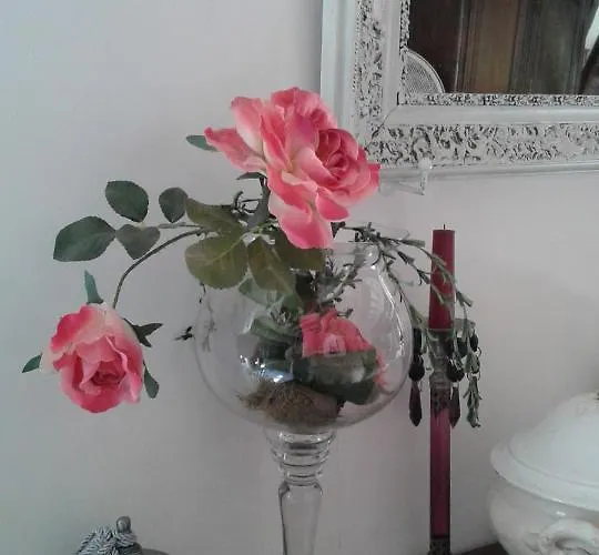 Le Moulin Des Roses 3* Neslette